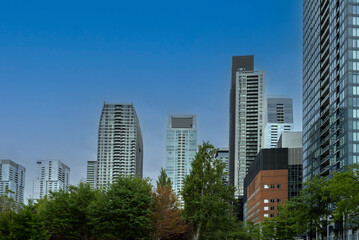 Fototapeta premium Modern Montreal cityscape with several towering skyscrapers and greenery in the foreground, under a clear blue sky