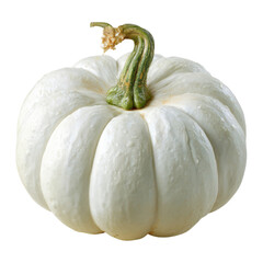 White gourd with green stem autumn, Isolated On Png Transparent Background
