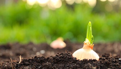A young onion sprout emerges from the rich soil, showcasing the vibrant green shoot against a blurred background of lush greenery.