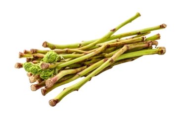 Fresh asparagus stalks tied together isolated on transparent background