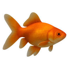 Orange goldfish swimming isolated on transparent background