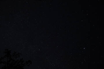 Dark night sky filled with countless stars, with faint meteor streak visible and tree silhouettes framing the scene.
