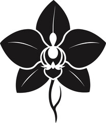 Elegant orchid silhouette on white background