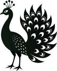 Elegant peacock silhouette on white background