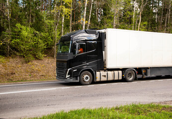 A truck with a refrigerated semi-trailer transports refrigerated cargo along a country road against the backdrop of beautiful nature and forest in summer. Copy space for text