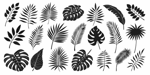 Collection of Black Tropical Leaves Silhouettes