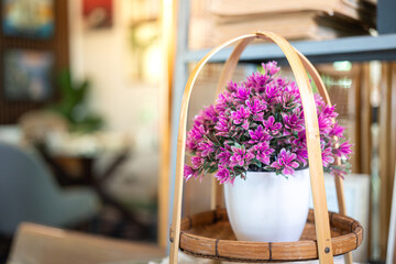 Vibrant purple flower bush in the flower pot that placed on the desk for interior decoration, close-up with selective focus.