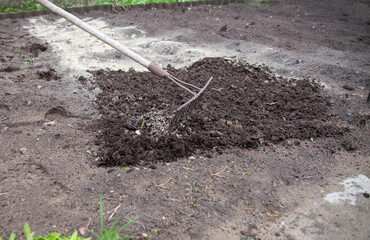 Loosening the soil with a rake and deoxidizing the soil with dolomite flour in the garden in spring, close-up. Copy space for text, neutralizing soil