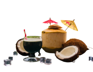 set vector coconut drink, tropical coconut drink, cocktail coconut drink, umbrella 