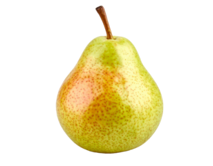 洋梨　透過背景