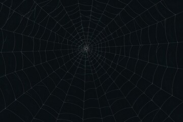 Naklejka premium Spider Web Pattern on Dark Background – Halloween and Spooky Design Element