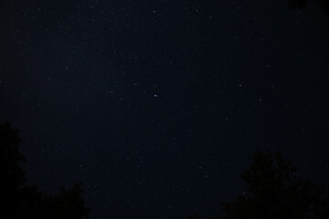 Naklejka premium Clear night sky full of stars with a faint meteor streak, astrophotography of constellations and the universe.