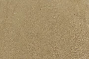 Golden Sand texture background