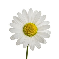 Naklejka premium Stunning view of Saturn with its majestic rings sparkling among distant stars in the vast cosmos