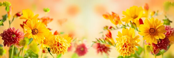 Fotobehang Meloen Autumn flowers composition. Close-up of blooming yellow and red flowers in a colorful garden, glowing in warm, soft light. banner  © Svetlana Kolpakova