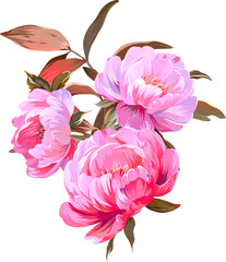 Beautiful vector bouquet flowers. Summer flower peony, forget-me-nots. Pink, bright flowers