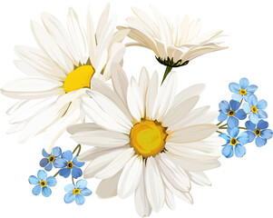 Vector bouquet of chamomile and forget-me-not flowers. Chamomile, white flower, blue flowers