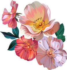 Vector bouquet of flowers. Summer bouquet of flowers. Rose, rose hip, tea rose