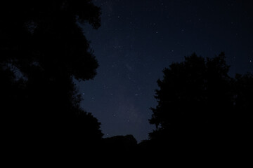Naklejka premium Night sky with thousands of stars shining above forest silhouettes, clear view of constellations and galaxy. View of the Milky Way from the northern hemisphere.