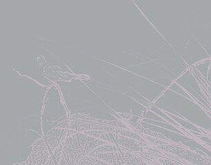 Bird sitting on a tree branch