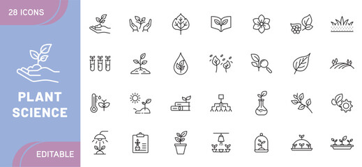 Plant Science Illustration – Biology, Botany, Ecology, Agriculture, Photosynthesis, Environmental Research, Plant Growth, Farming, Organic Food, Green Energy, and Sustainability Concepts