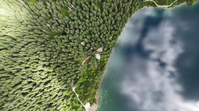 Aerial top-down shot of Morskie Oko lake and coniferous forest, Tatras, Poland