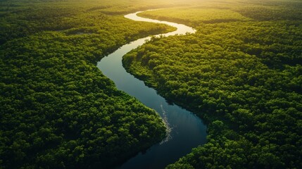 An aerial view of a winding river flowing through a verdant, green forest, creating a scenic and beautiful natural landscape.