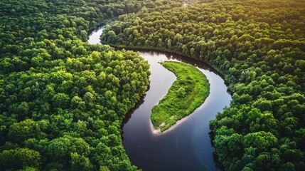 A stunning aerial view of a winding river flowing through a dense green forest, creating a beautiful and serene natural landscape.