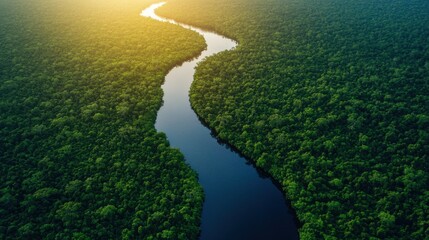 An aerial view of a vibrant green forest with a winding, snake like river flowing through it, creating a natural and serene landscape.