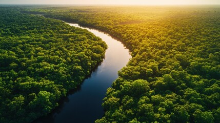 A beautiful aerial view of a winding river flowing through a green forest during sunset, with golden light illuminating the natural landscape.