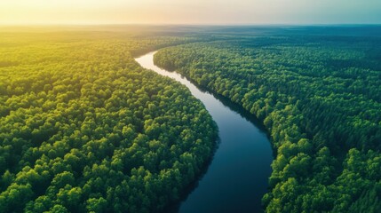 A stunning aerial view of a winding river flowing through a green forest at dawn, with soft, natural light illuminating the landscape.