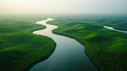 An aerial view of a flowing river through a lush green valley, creating a peaceful and picturesque natural landscape.