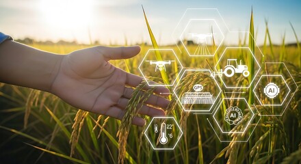 Hand touching wheat in a field with futuristic agriculture icons overlay