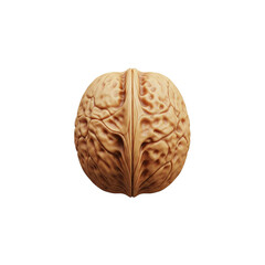 Obraz premium Detailed depiction of a walnut's exterior, revealing intricate textures against black background