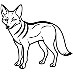 Jackal Outline Illustration