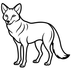 Jackal Outline Illustration