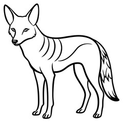 Jackal Outline Illustration