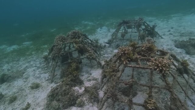 Three pyramid-shaped structures for coral farming stand on the seabed in a marine reserve near Malapascua Island, Philippines. Check my portfolio for more coral restoration footage.