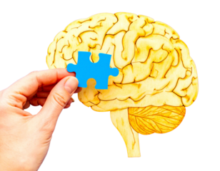 Close-Up of Hand and Puzzle Piece Connecting to Brain Puzzle, Transparent Background