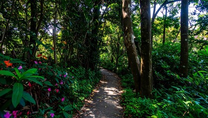 A shaded path winds through a lush green forest, vibrant flowers lining the edges.