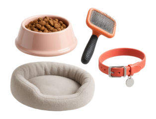 Modern 3D design set of cute pet care elements.