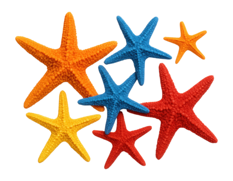 Colorful starfish arranged in a structured display.