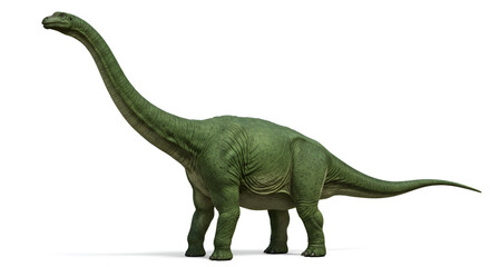 Detailed 3D Render of Brachiosaurus Dinosaur with Long Neck on White Background