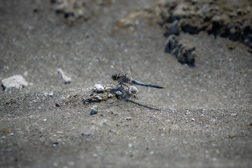 Salda Gölü - Salda Salzsee