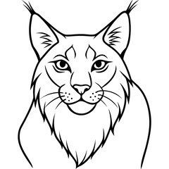White Background Lynx