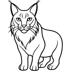 Fototapeta premium White Background Lynx