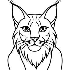 White Background Lynx