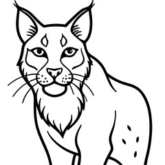 White Background Lynx