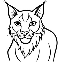 White Background Lynx