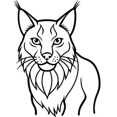 White Background Lynx